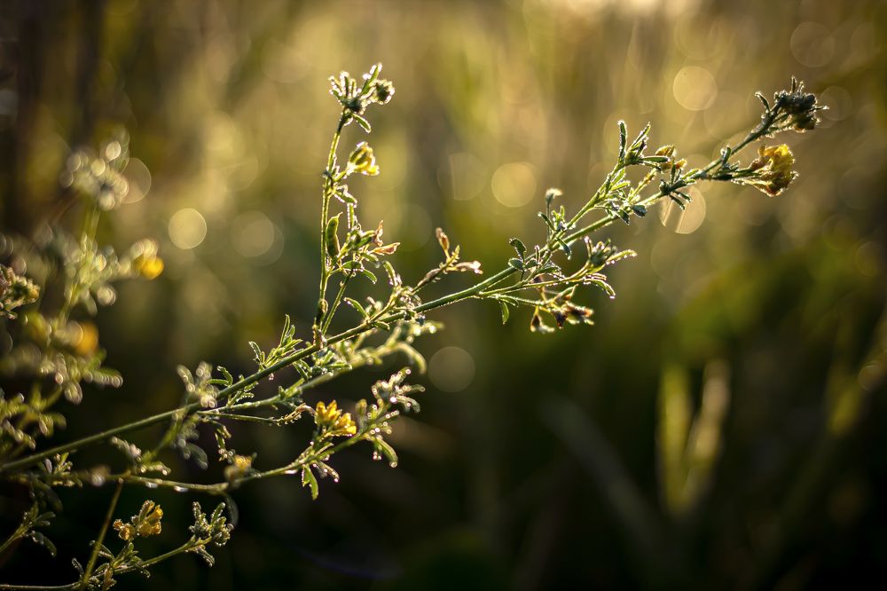 Photograph by Ольга Слотвинская