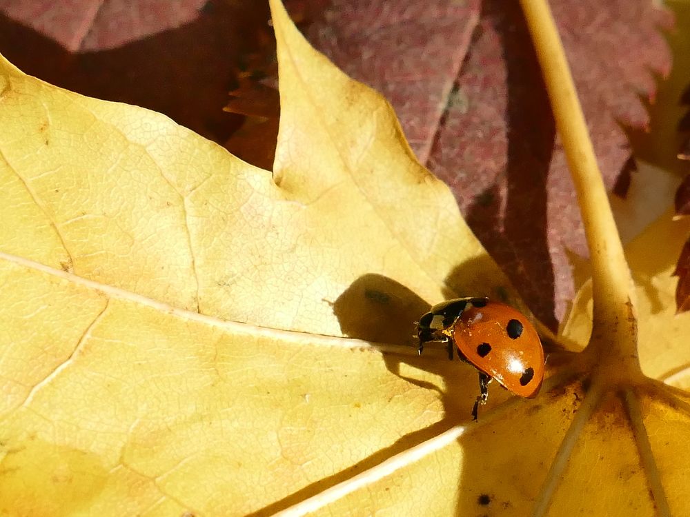 Photograph by Александр Кизим