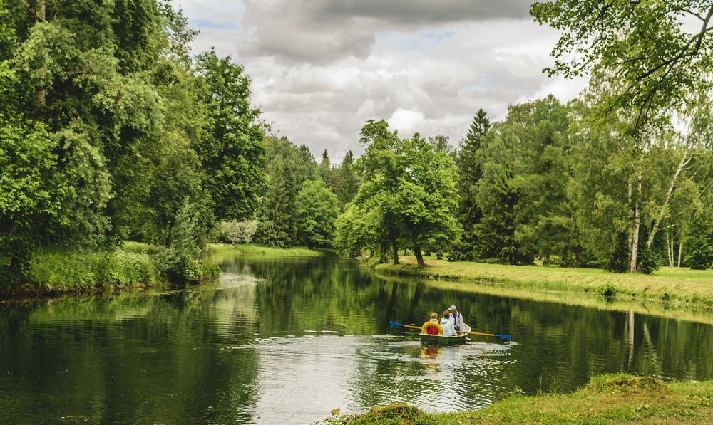 В зеленой тишине