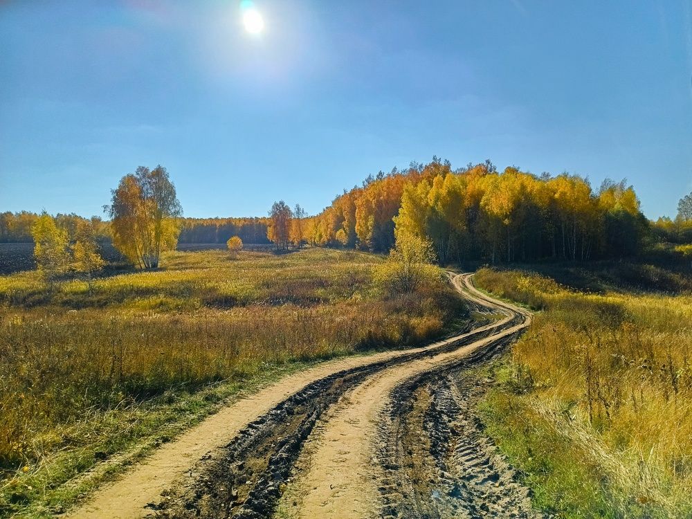 Photograph by Светлана Кондрашова