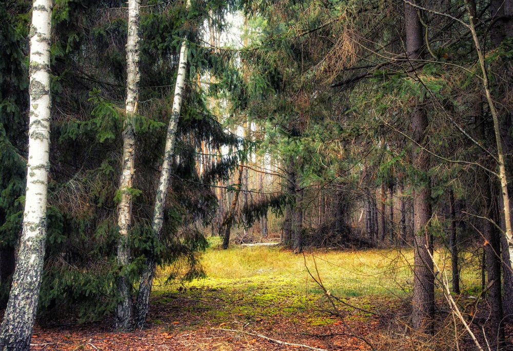 Photograph by Игорь