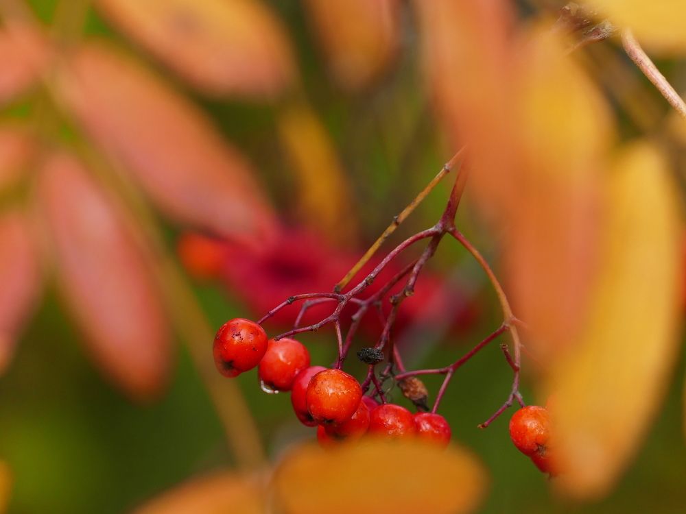 Photograph by Александр Кизим