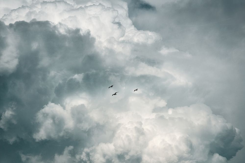 Photograph by Ivan Sazykin