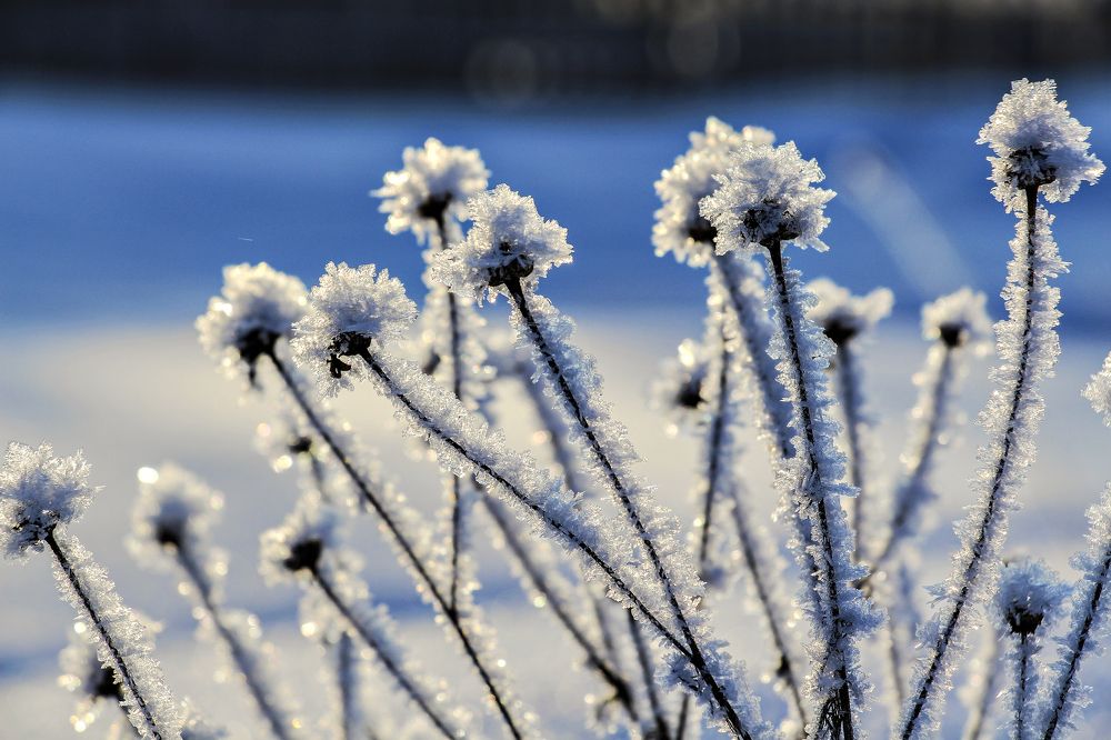 Photograph by Ksenia Kouri