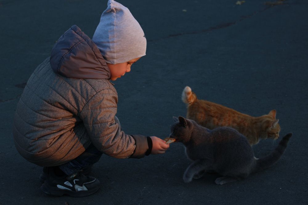 Photograph by Кристина Медведюк