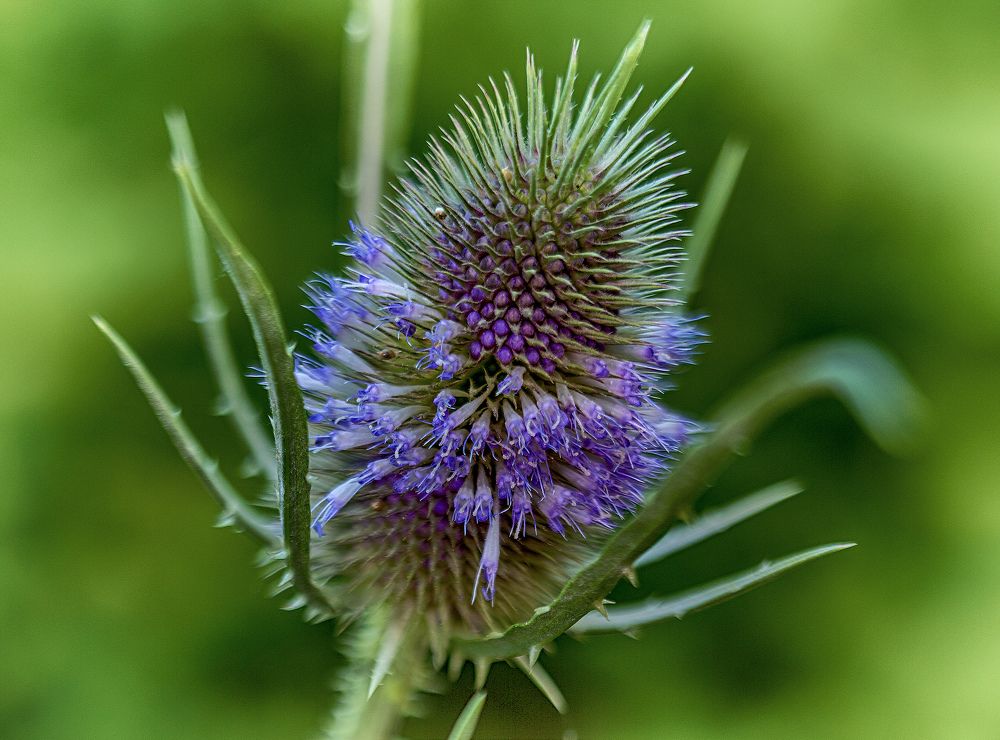 Photograph by Игорь