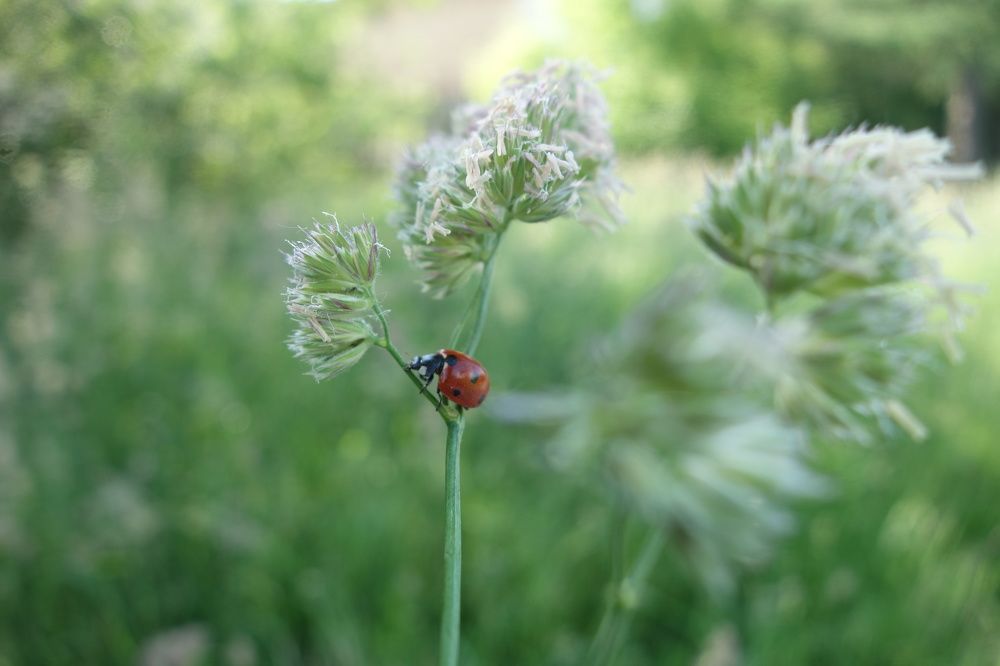 Photograph by Дарья Гришина