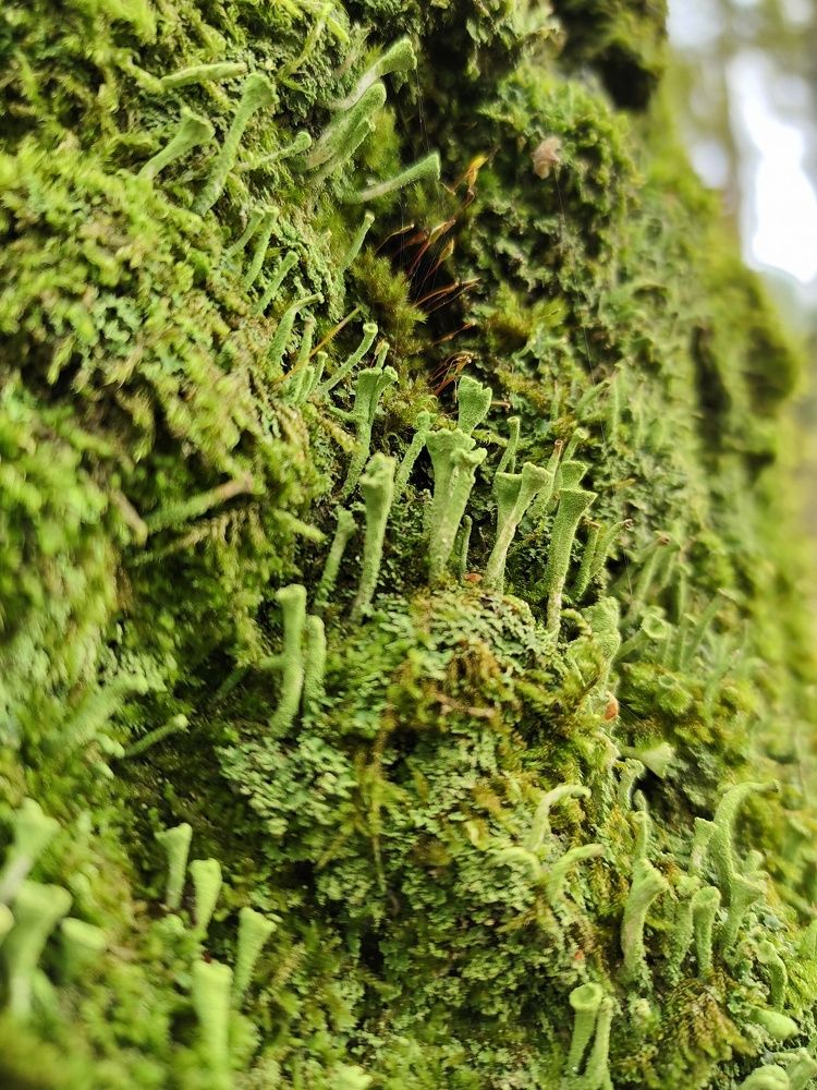 Photograph by Наталья Ивочкина