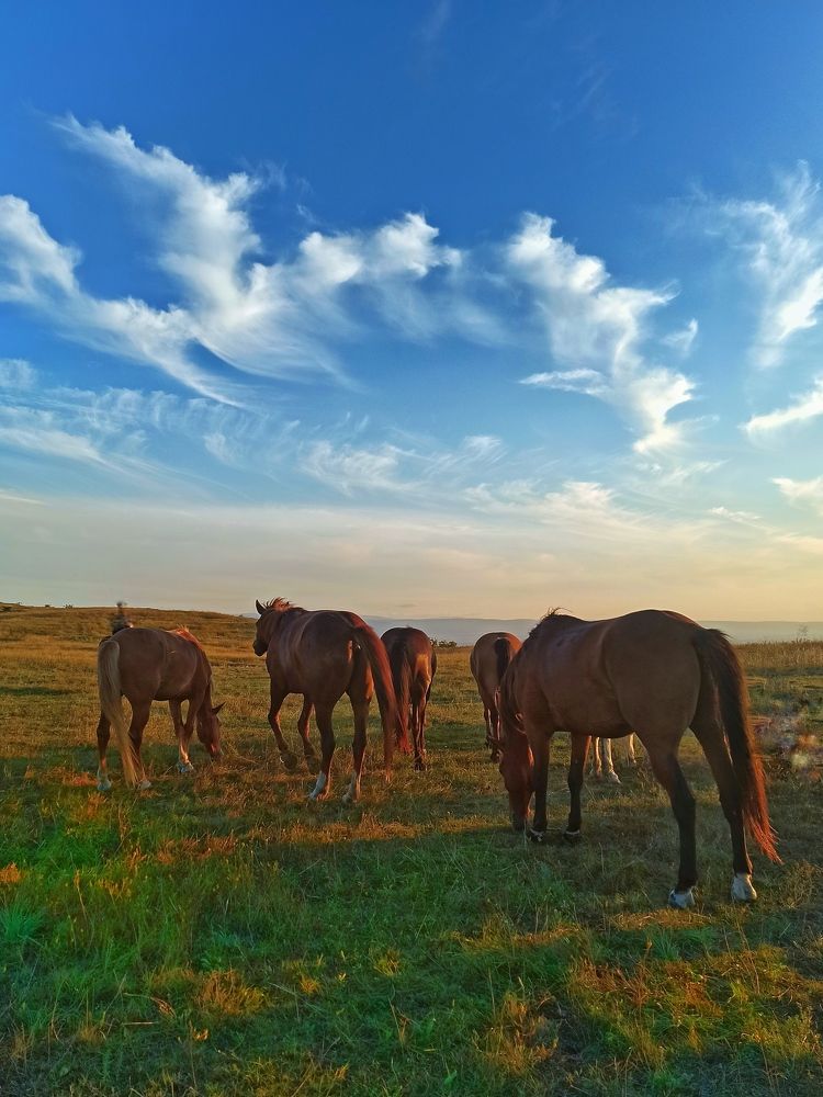 Photograph by Жигульский Сергей