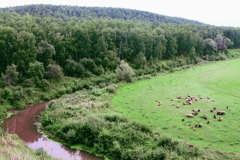 Photograph by Ольга Слотвинская