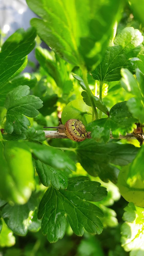 Photograph by Ольга Новоселова