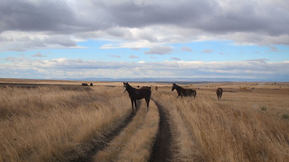 Photograph by Katerina Seneng