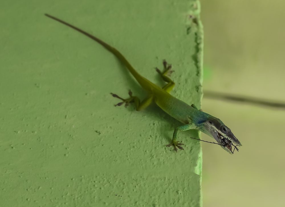 Photograph by ЗОЯ МЕДВЕДЕВА