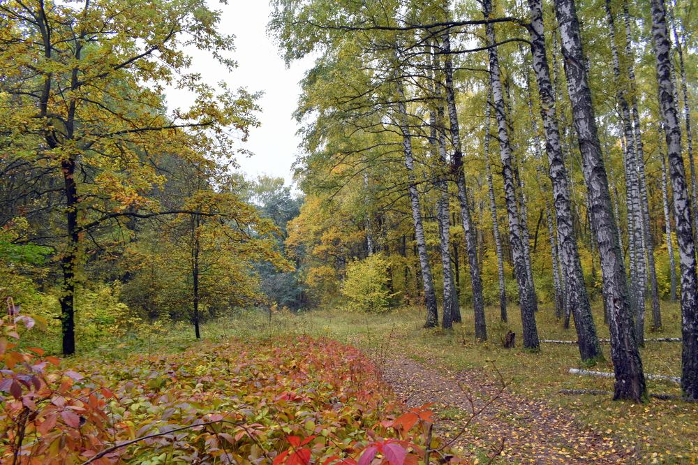 Photograph by Татьяна Калугина