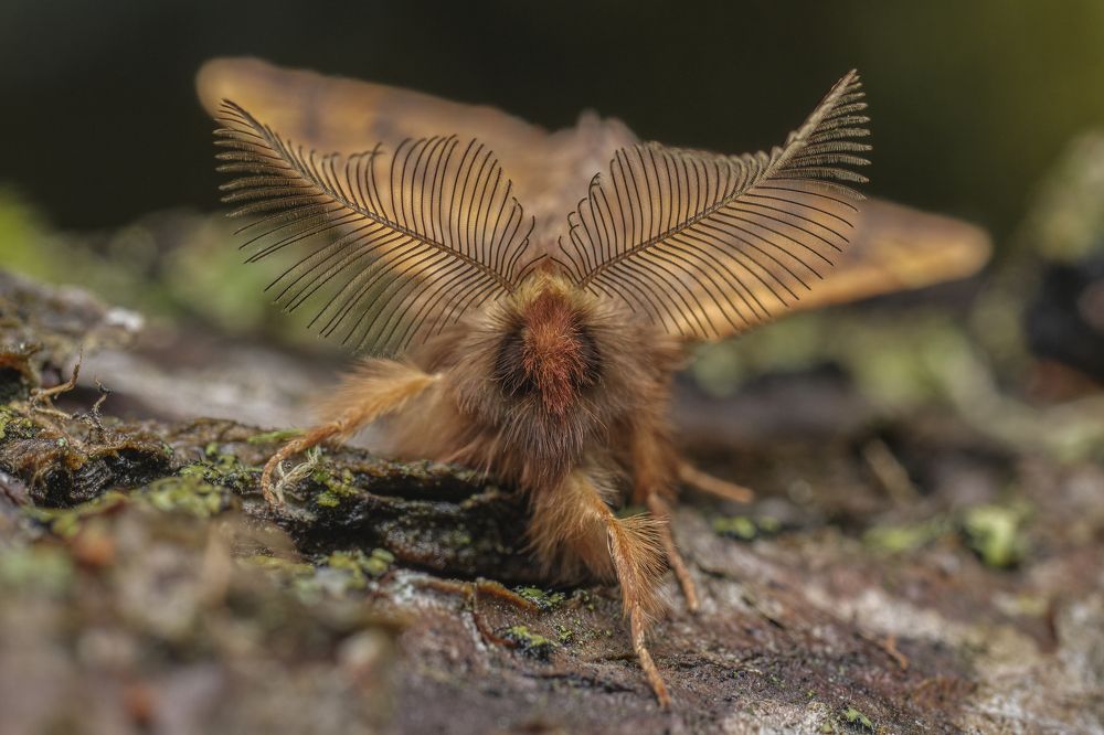 Фотография автора Eimar Kull