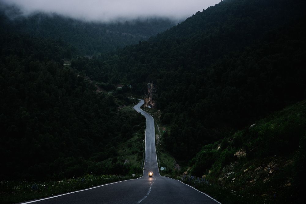 Photograph by Мария Раздорова