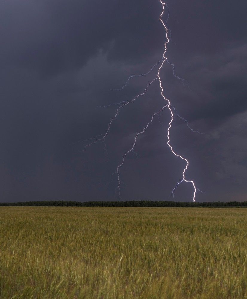 Гроза в полях