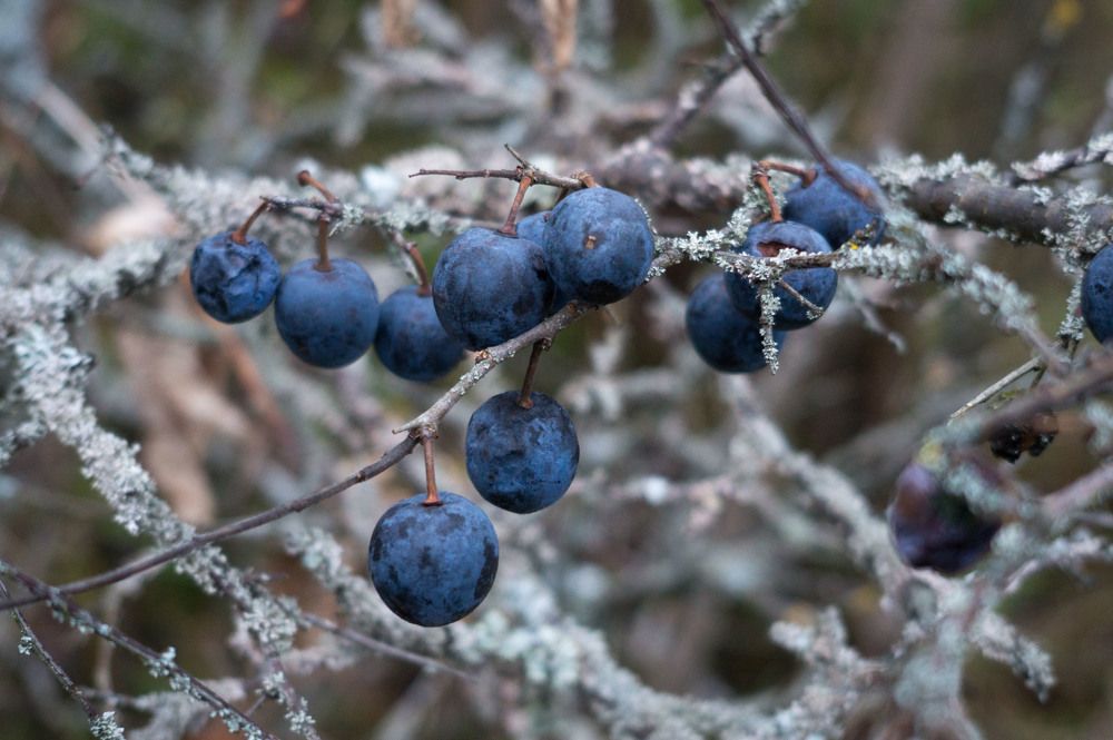 Photograph by Светлана Кондрашова