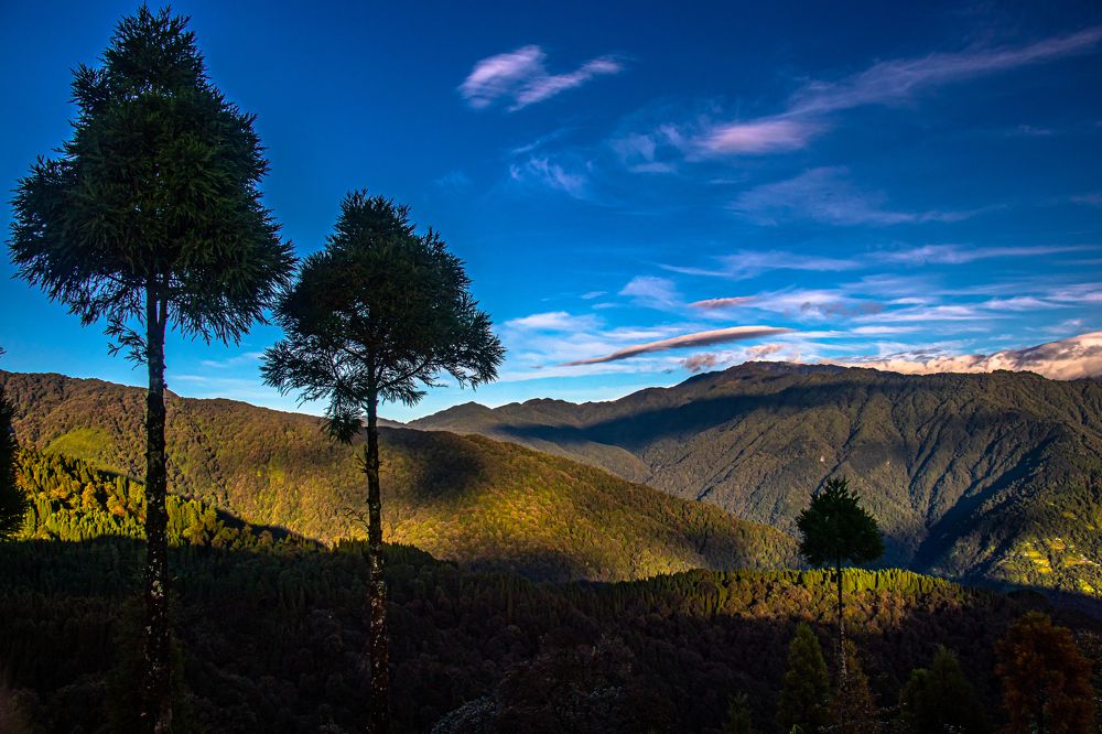 Photograph by Susobhan Biswas