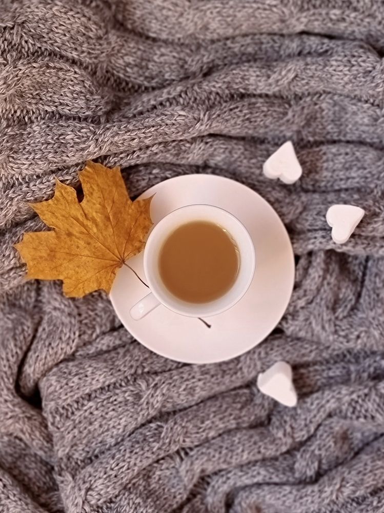 Фотография автора Светлана Алексеева