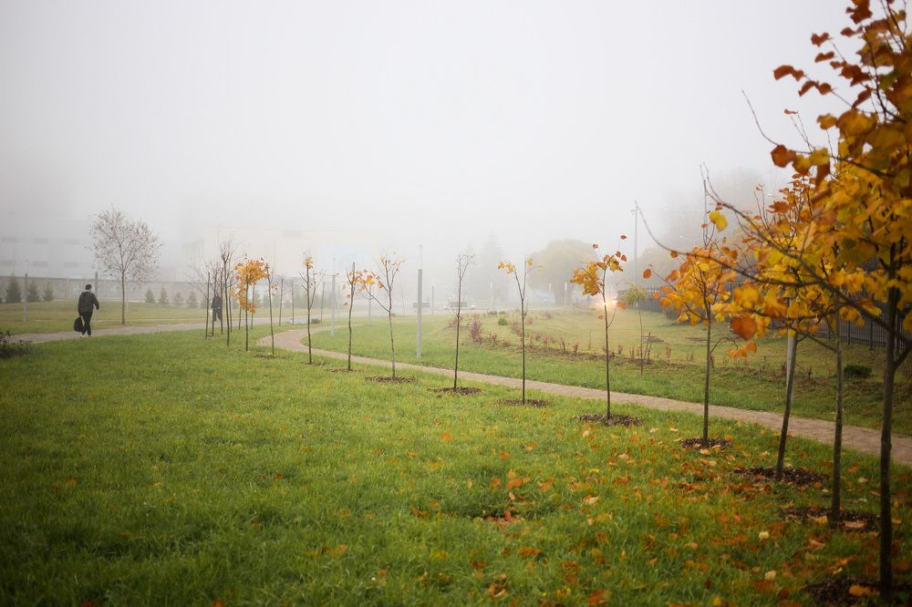 Photograph by Катя Филиппова