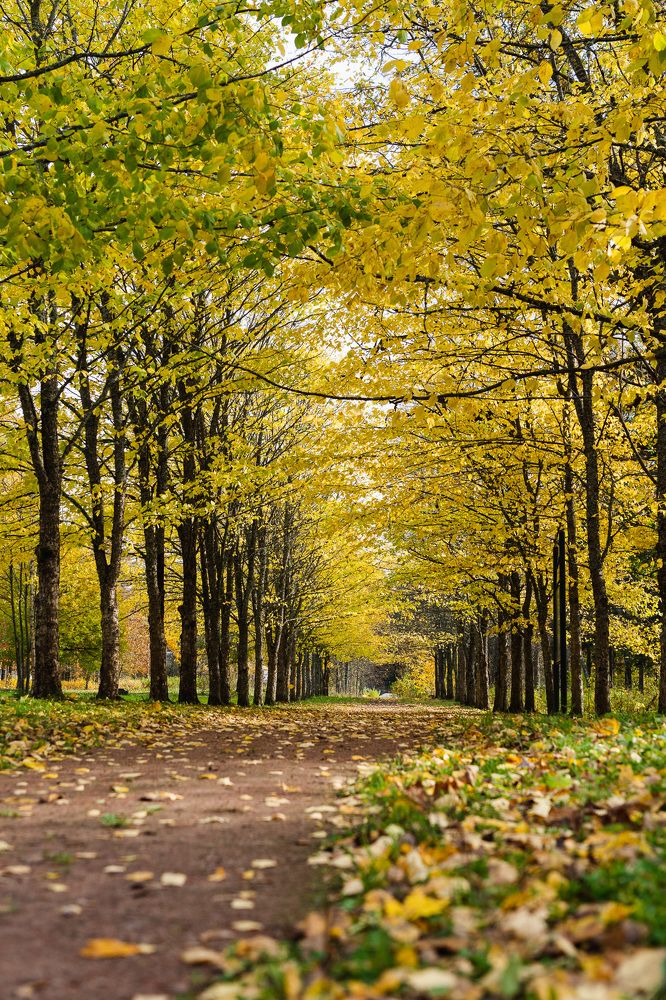 Photograph by Евгений Васильев