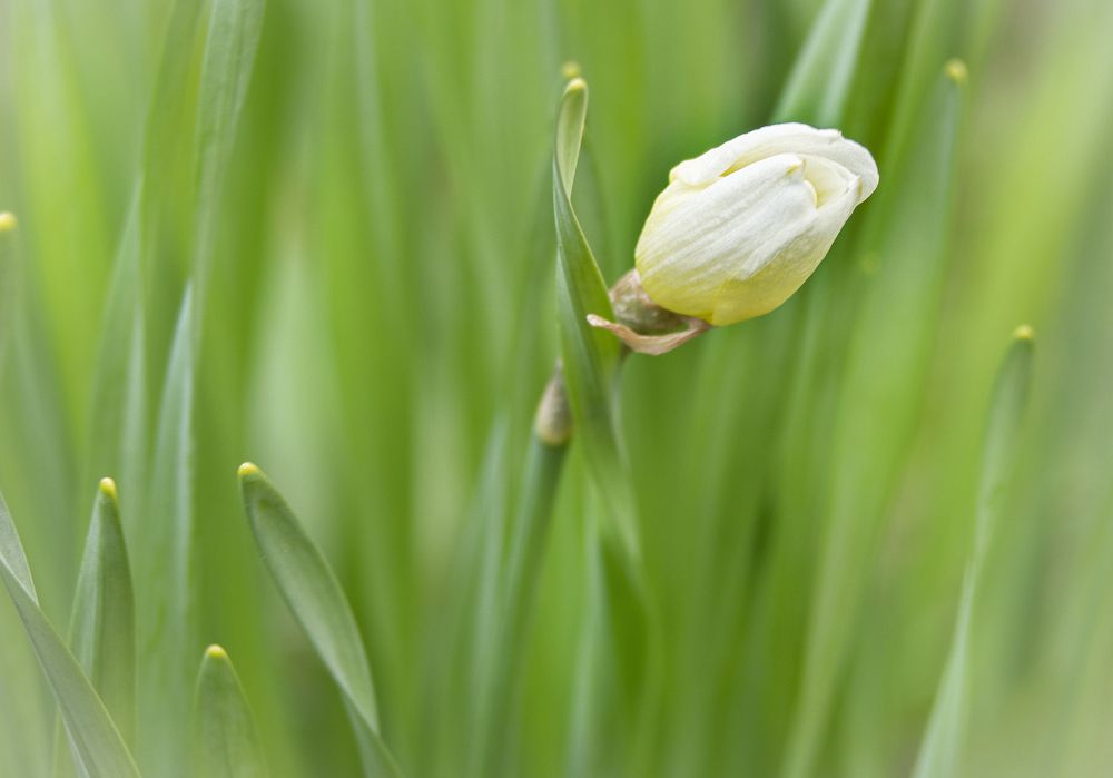 Фотография автора владимир шаронов