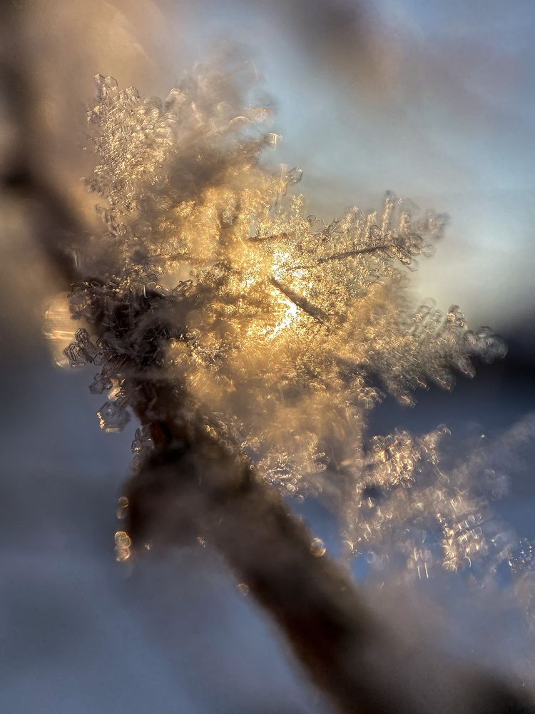 Photograph by Maria Kurakhtanova