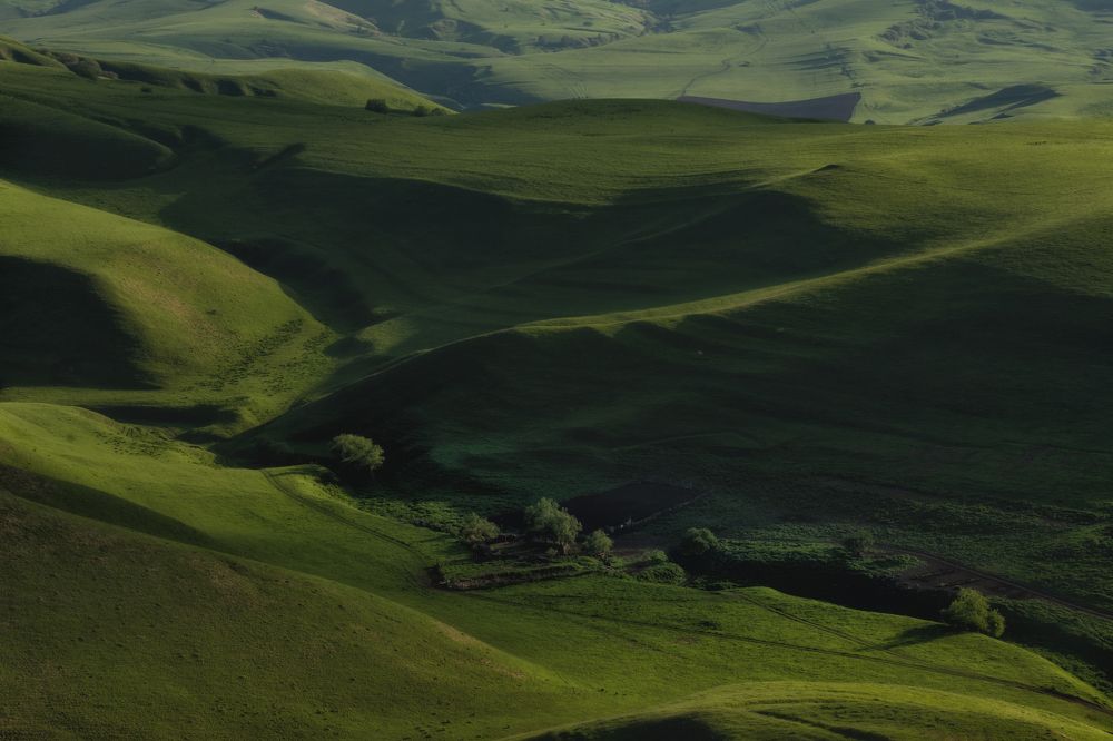 Photograph by Ирина Мошковская