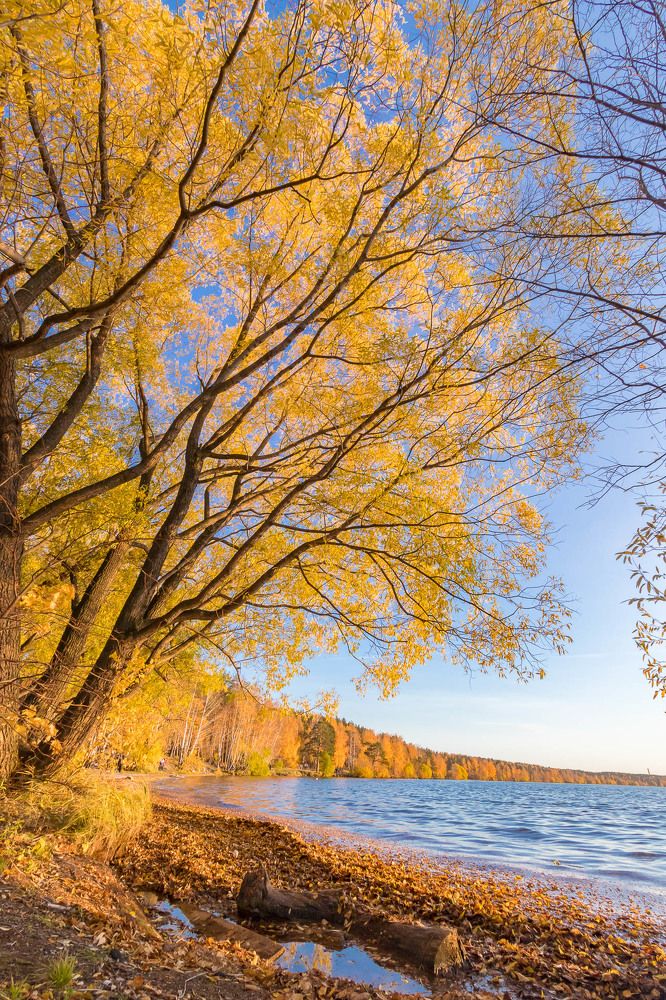 Photograph by Алексей Середенин