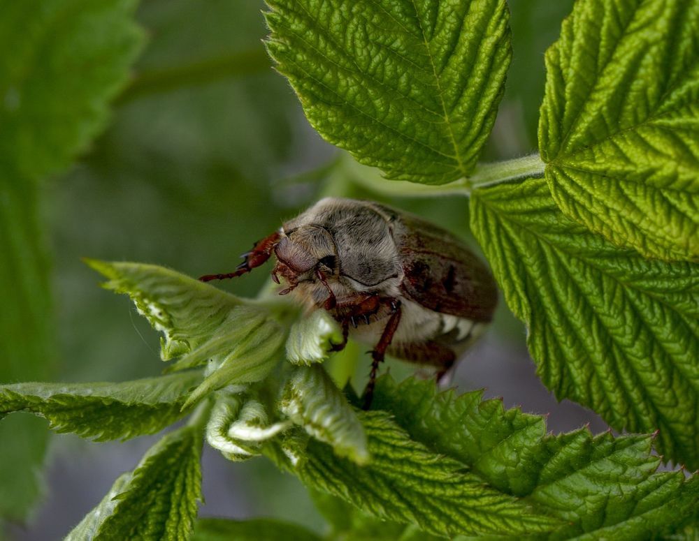 Photograph by Игорь