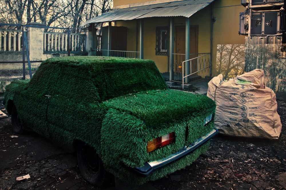 Фотография автора Анна Петина