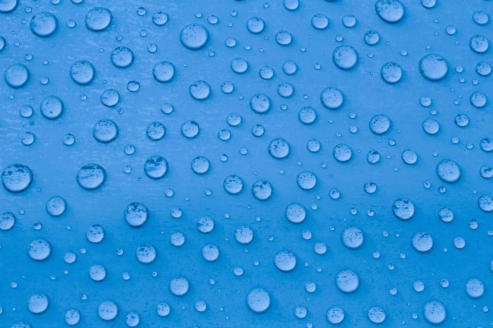 Photograph by Дарья Ващенко-Панкина