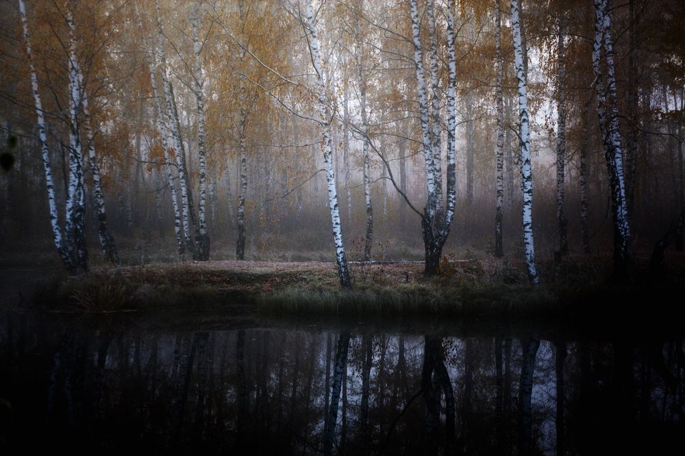 Photograph by Ершов Сергей