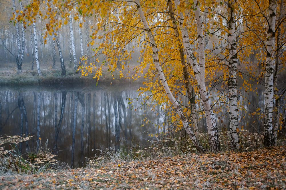 Photograph by Ершов Сергей