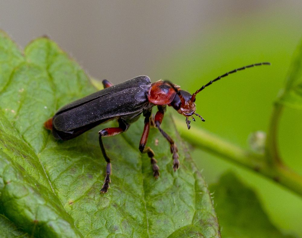 Photograph by Игорь