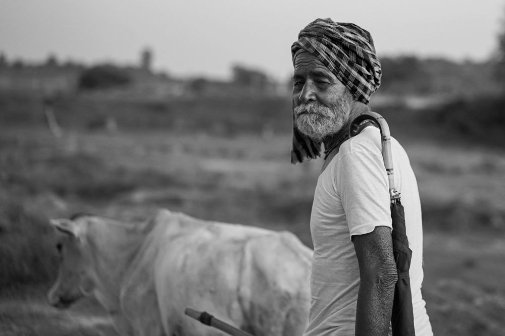 Photograph by Arkoprobho Pal