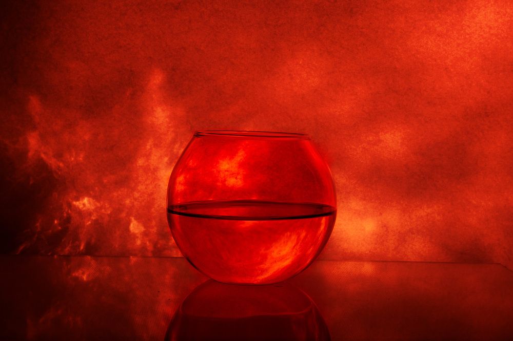 Photograph by Александр Максимов