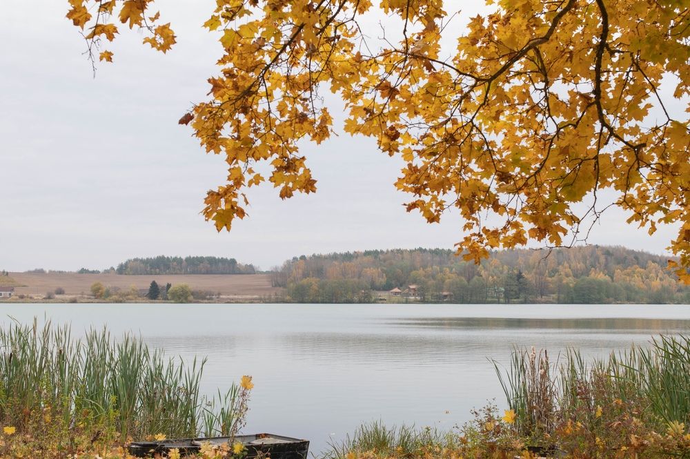 Photograph by Дарья Гомза