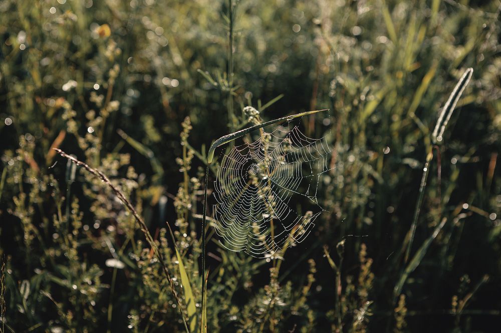 Photograph by Ivan Osipov