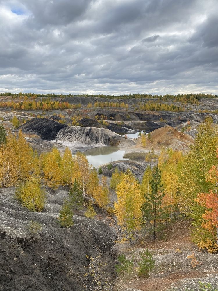 Photograph by Татьяна Мочалова