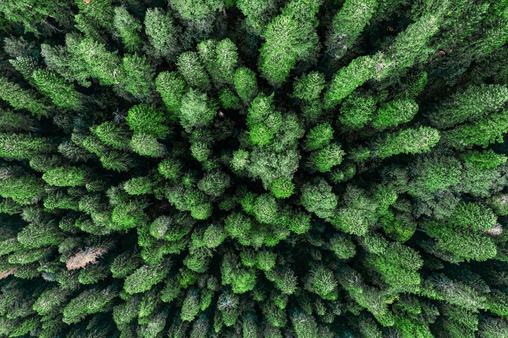 Photograph by Дмитрий Костяков