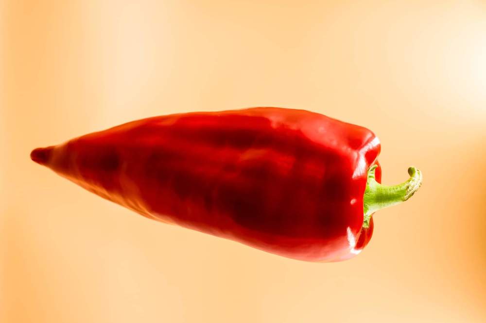 Photograph by Дарья Ващенко-Панкина