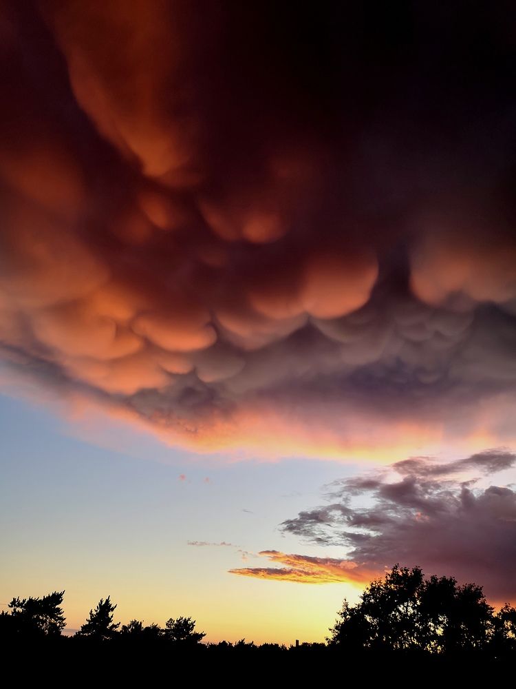 Photograph by Владимир Кривенко
