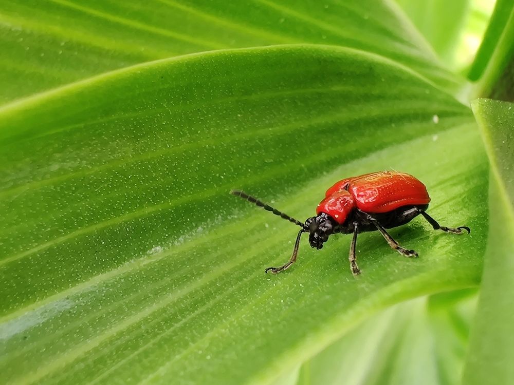 Photograph by Алексей Царевский