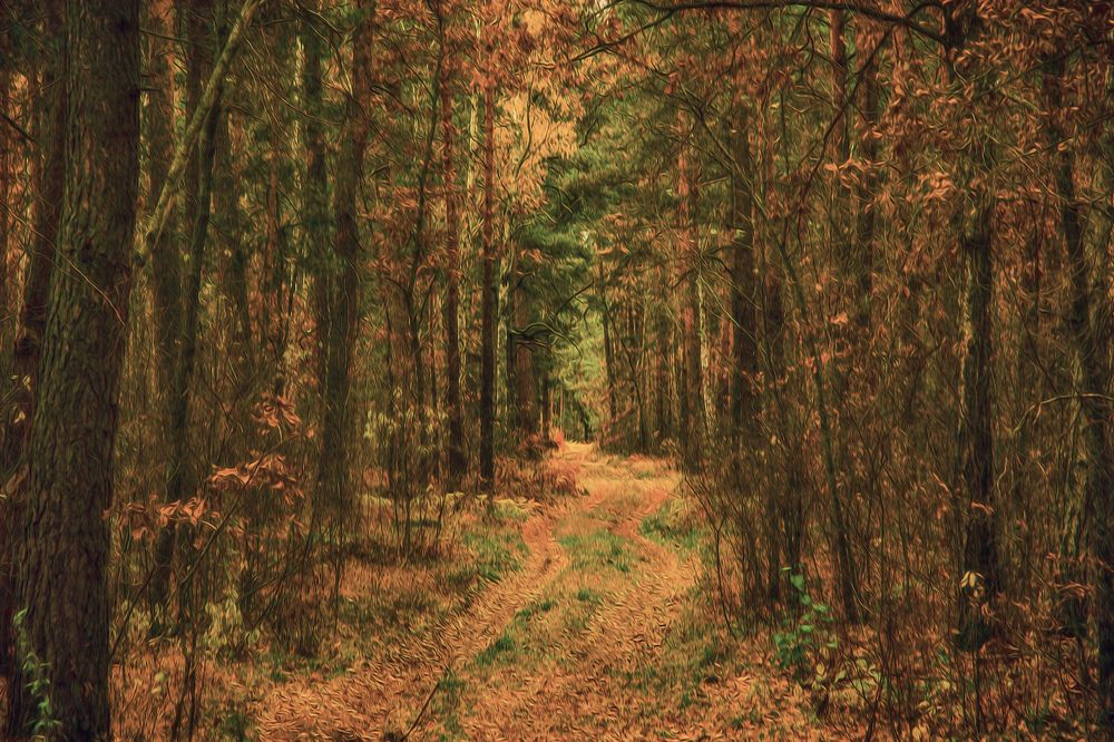 Photograph by Игорь