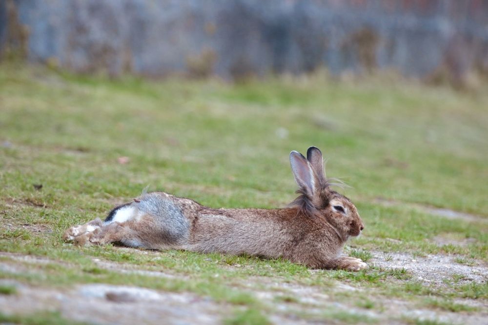 Photograph by Елена Ковалева