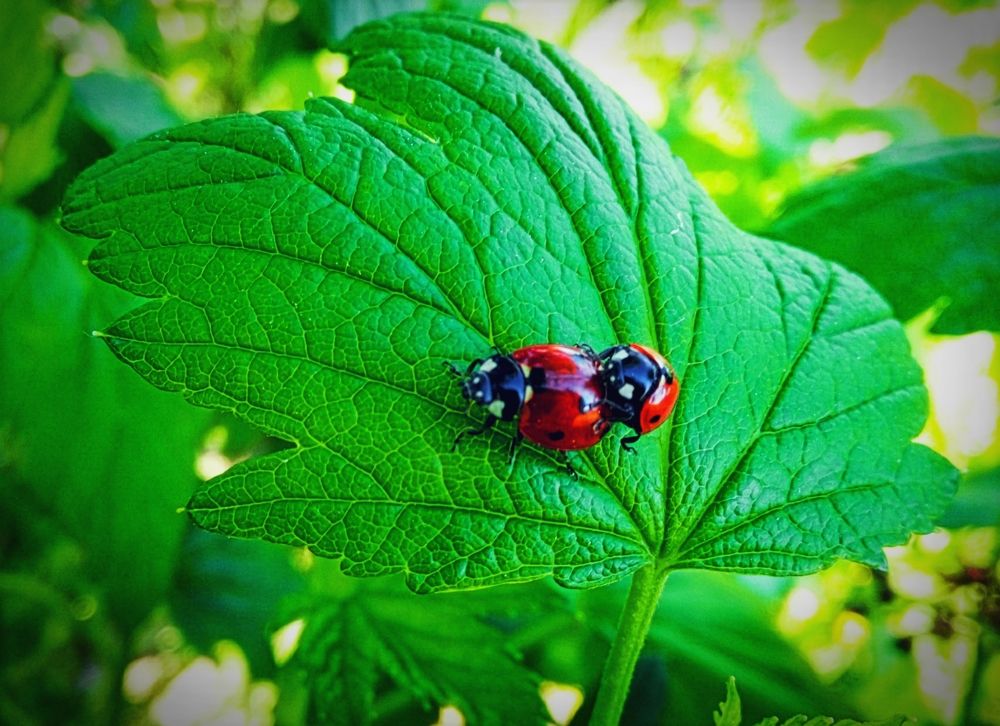 Photograph by Алексей Царевский