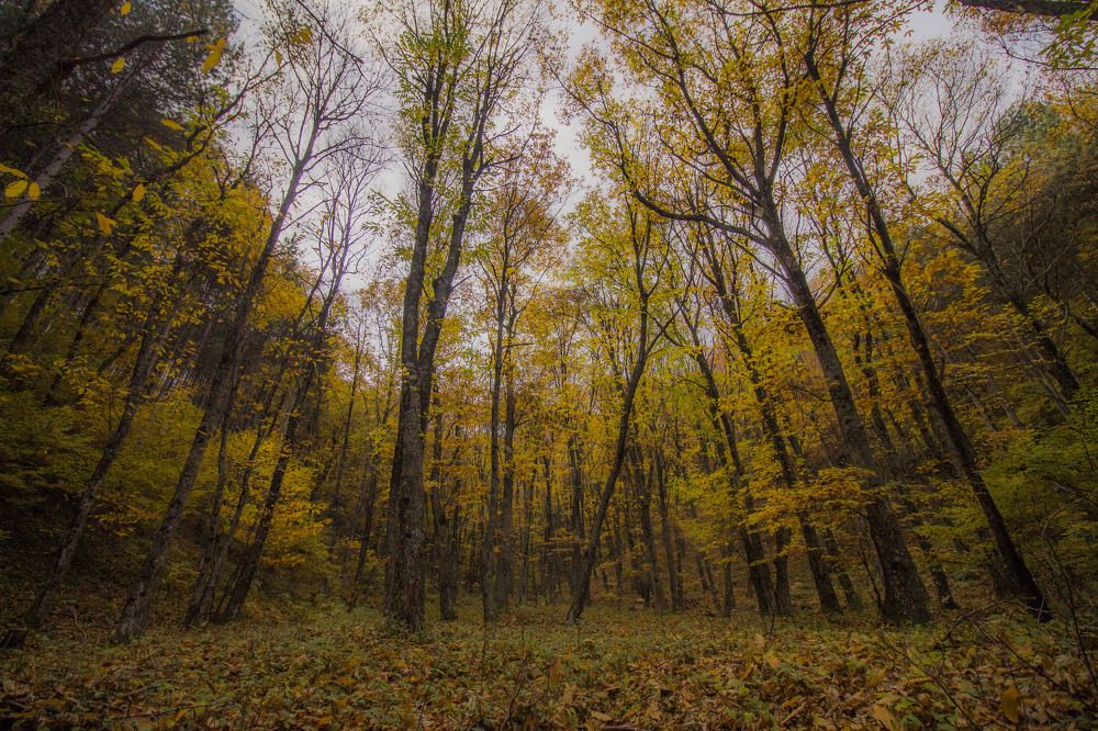 Photograph by iliya levkov