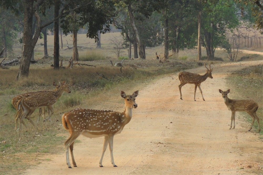 Photograph by ANISH BISWAS